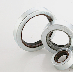 Oil Seal