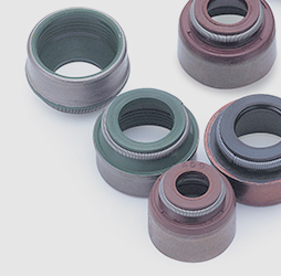 Valve Stem Seal Example 1