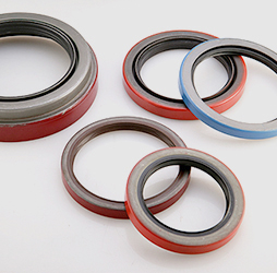 Oil Seal