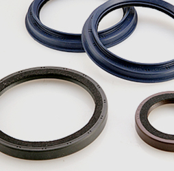 Oil Seal