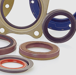 Oil Seal