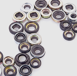 Oil Seal