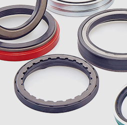Oil Seal