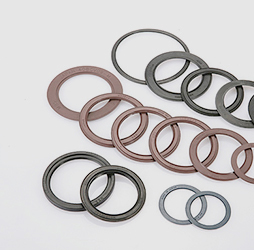 Oil Seal
