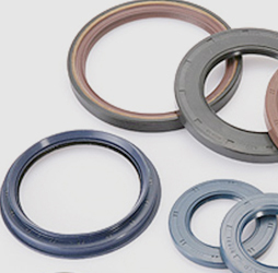 Oil Seal