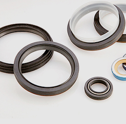 Oil Seal