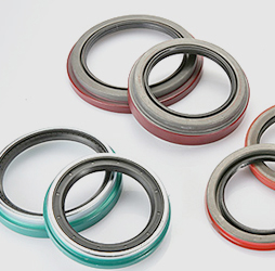 Oil Seal