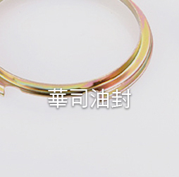 華司油封