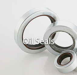 Oil Seals