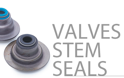 Valve Stem Seals Overview