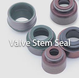 Valve Stem Seals